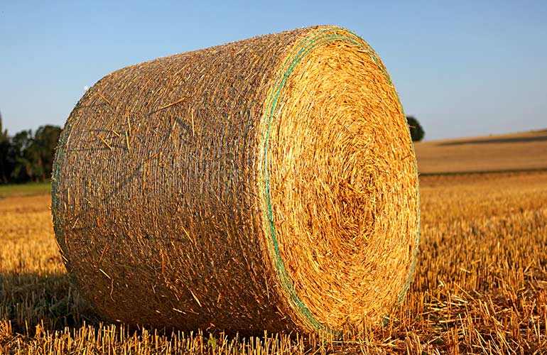 Landwirtschaftlicher Bedarf